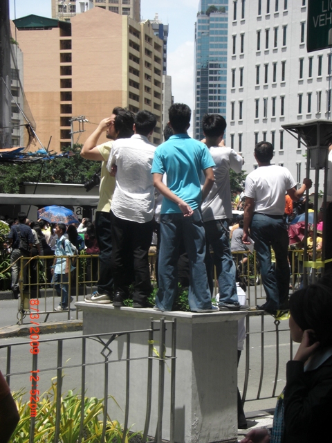 CIMG1336 most plants got the brunt of being stepped on