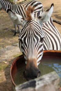 makes me want to reach for a cold drink myself