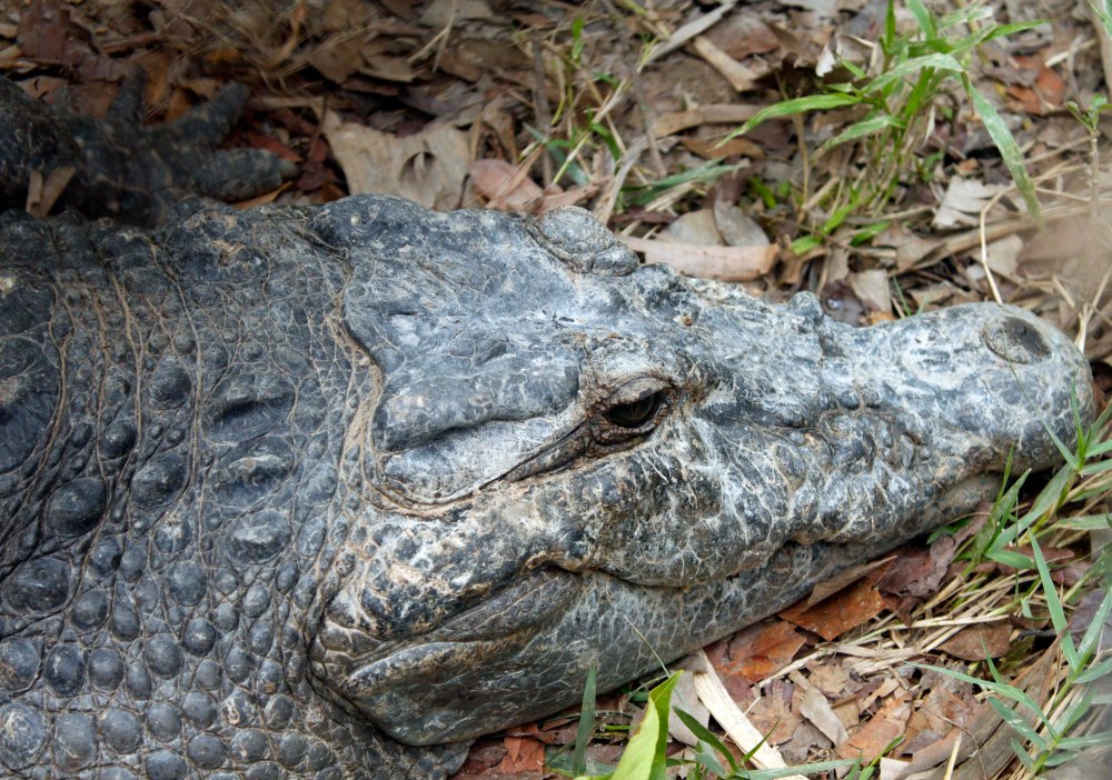 definitely not messing around