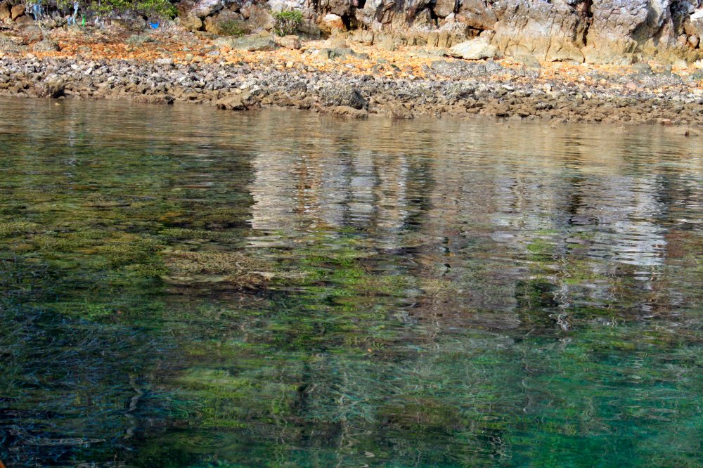 corals as seen from the surface