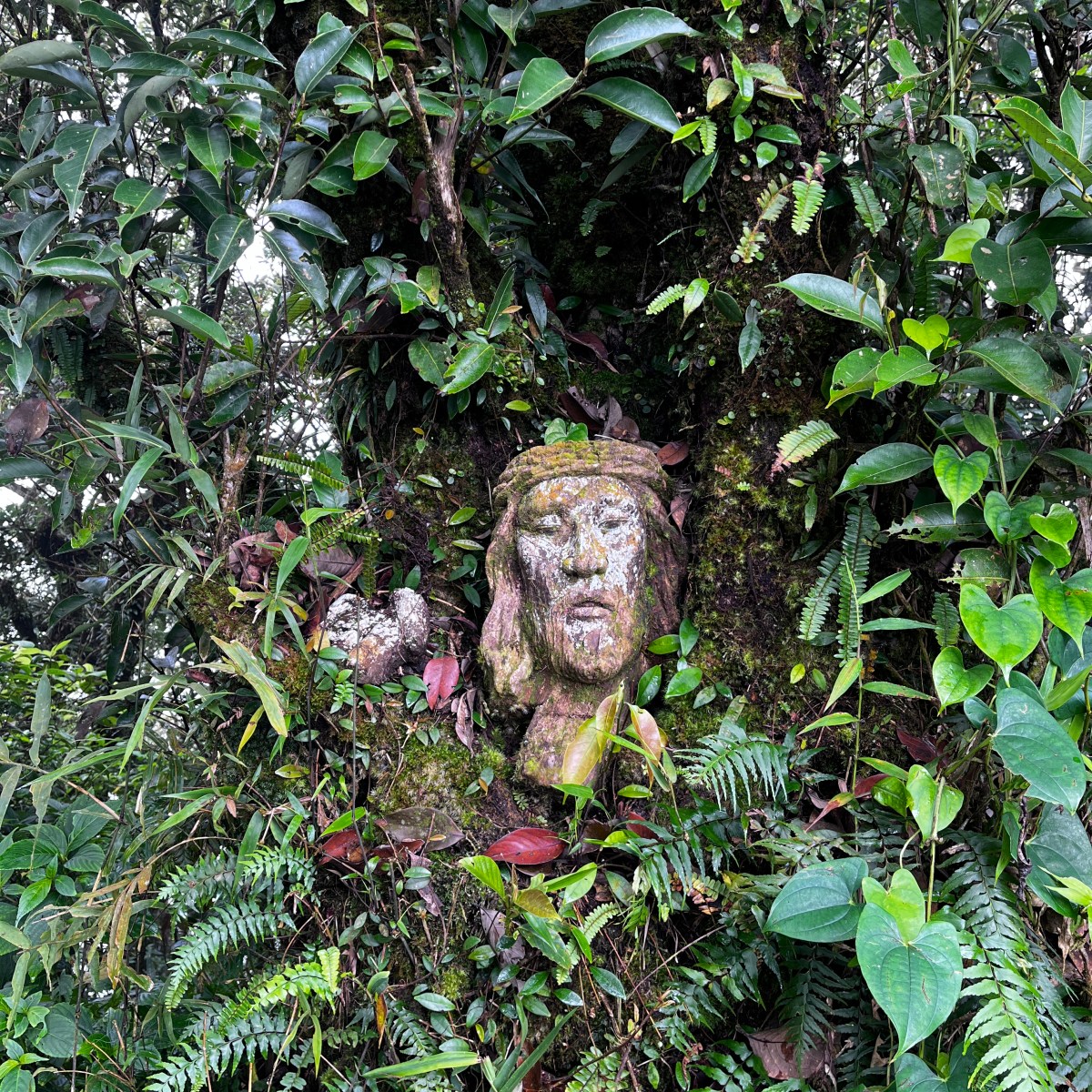 Traversing the Malarayat Mountain Range for a Cause